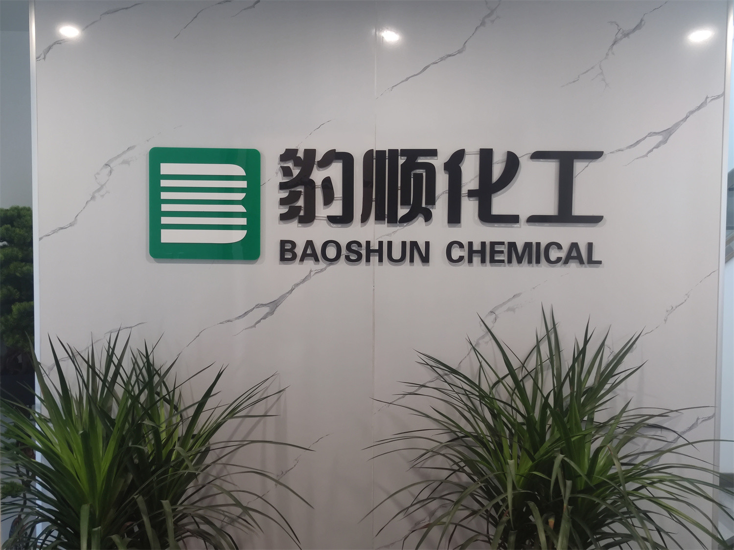 Baoshun (Shanghai) Chemical Technology Co., Ltd.